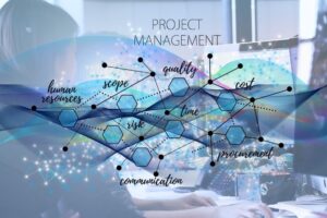 funcions de project management