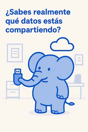 privacy of data shared with LLMs